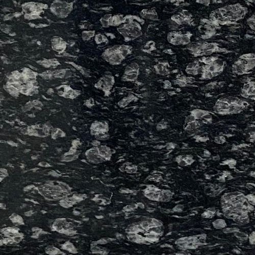 Coin Black